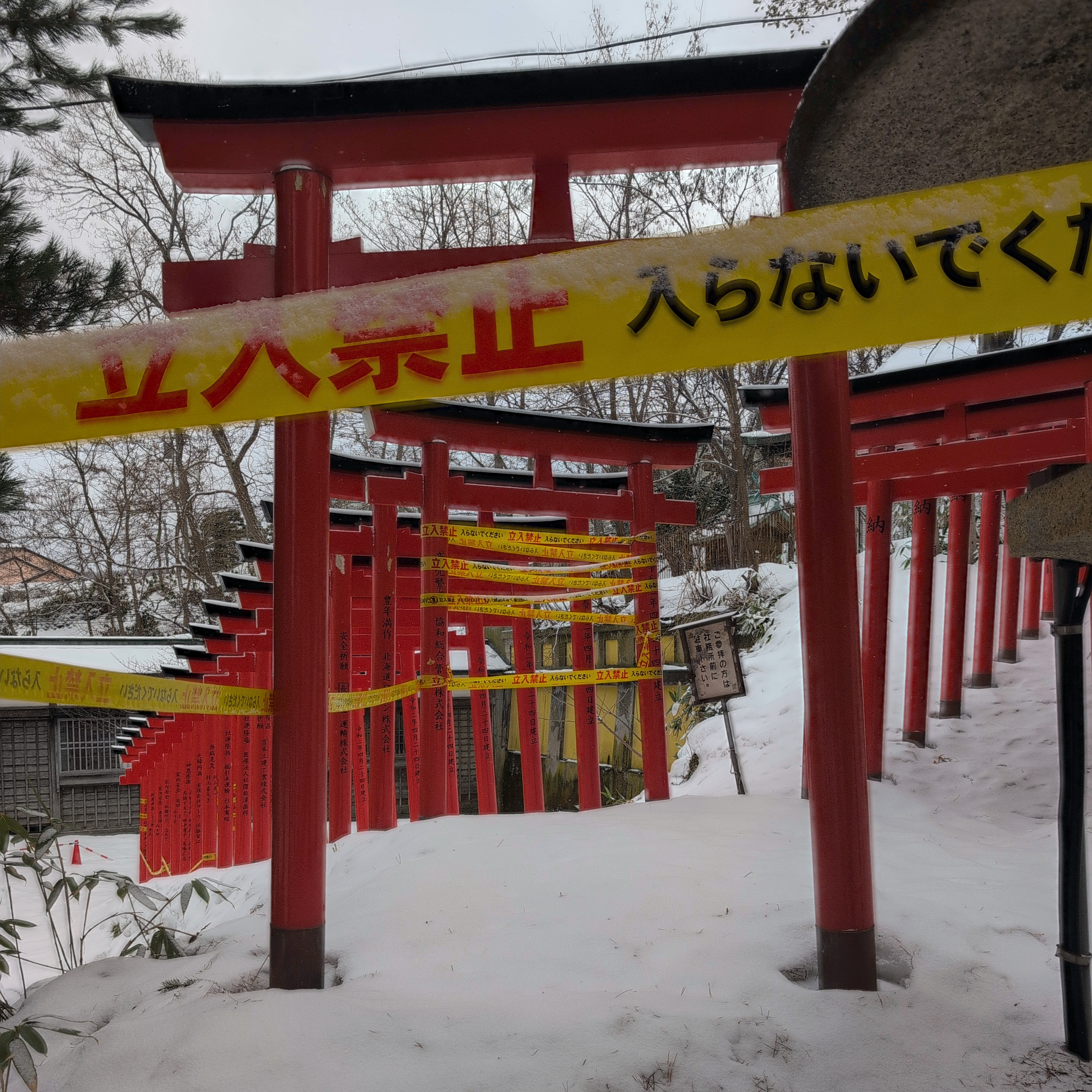 Otaru Winter