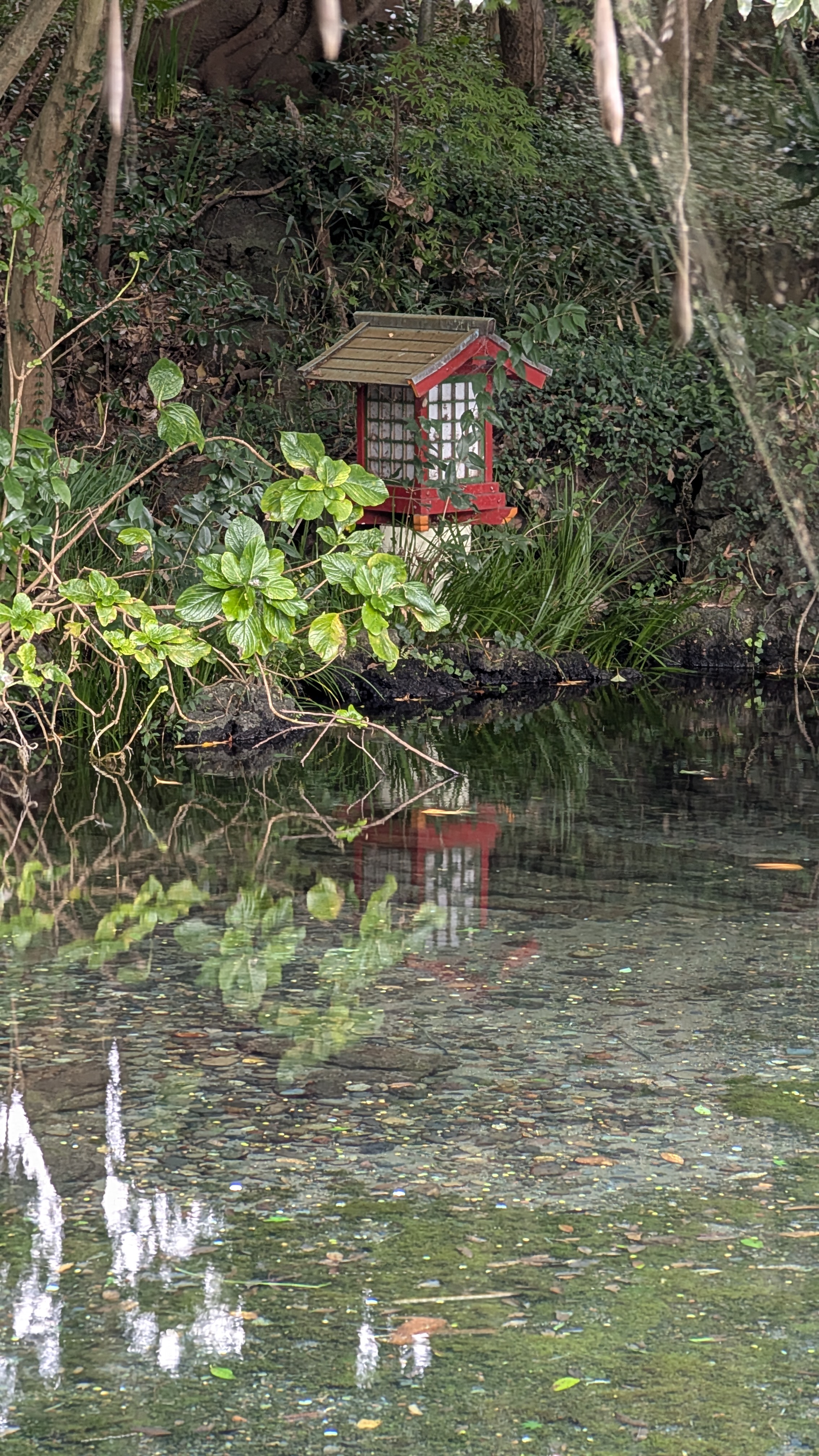 rote Holzlaterne am Wasser