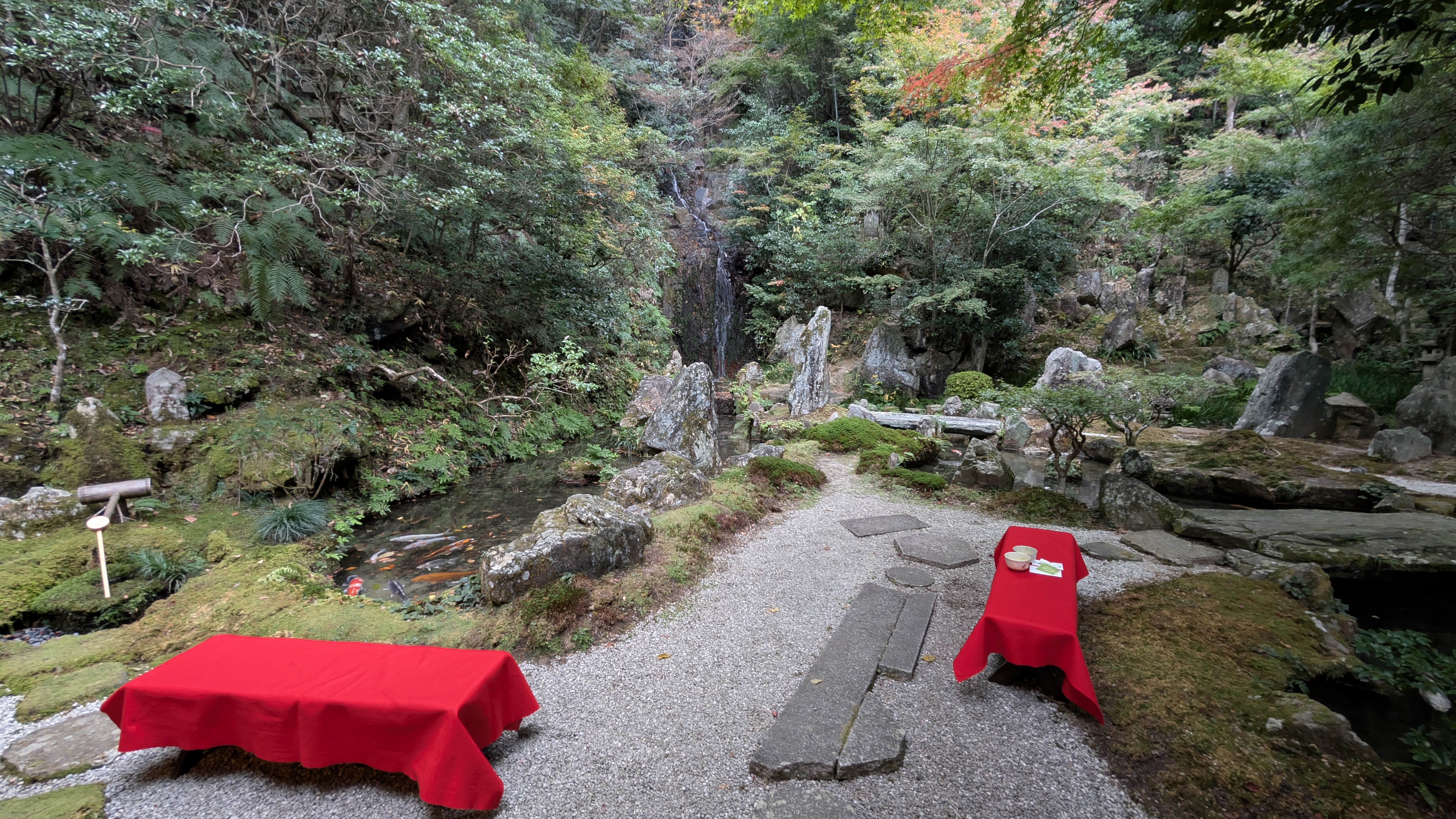 Bild aus dem Tempelgarten bei Tee