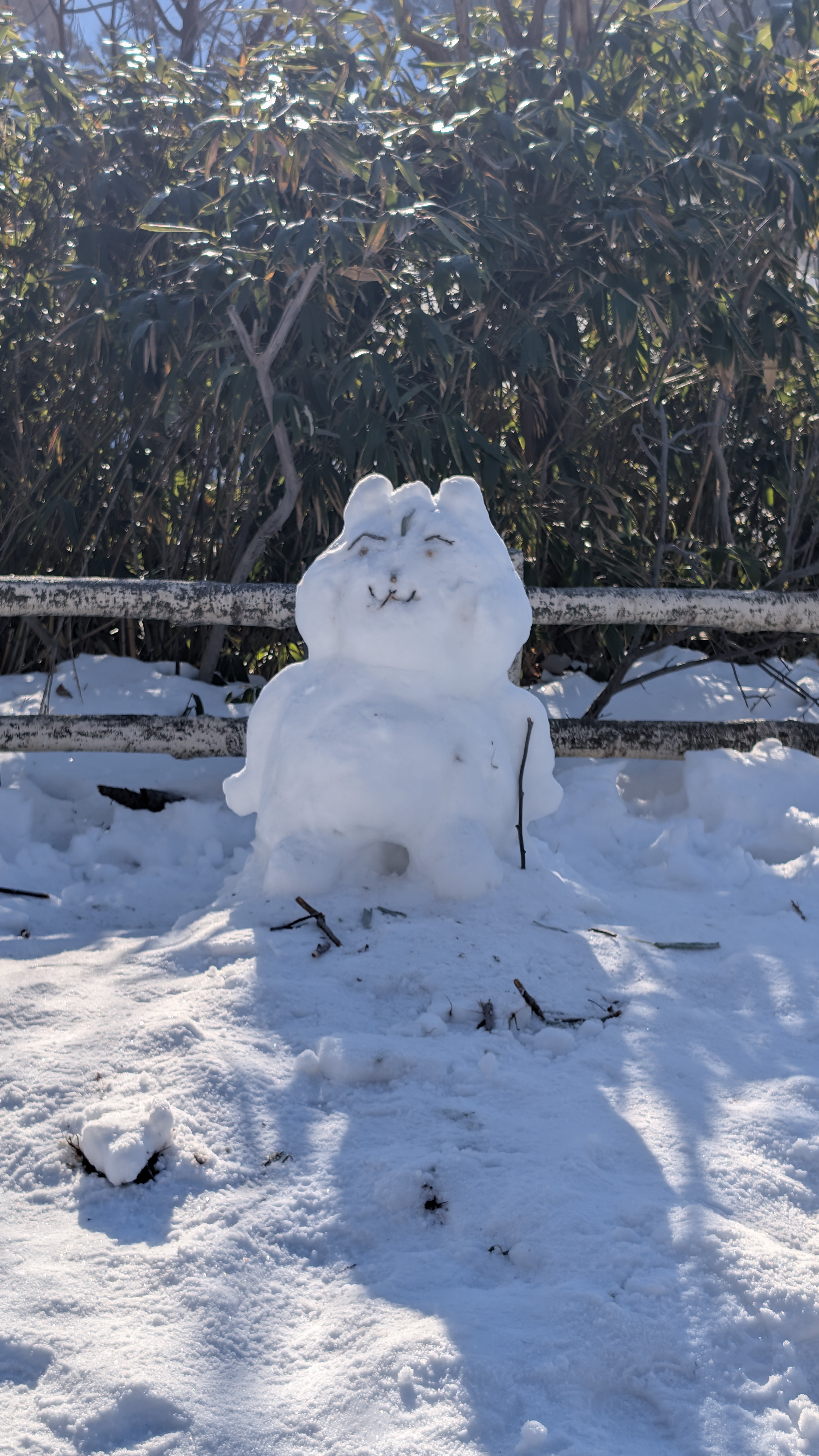 Eine Katze im Schnee, die die winterliche Stimmung in Noboribetsu einfängt.