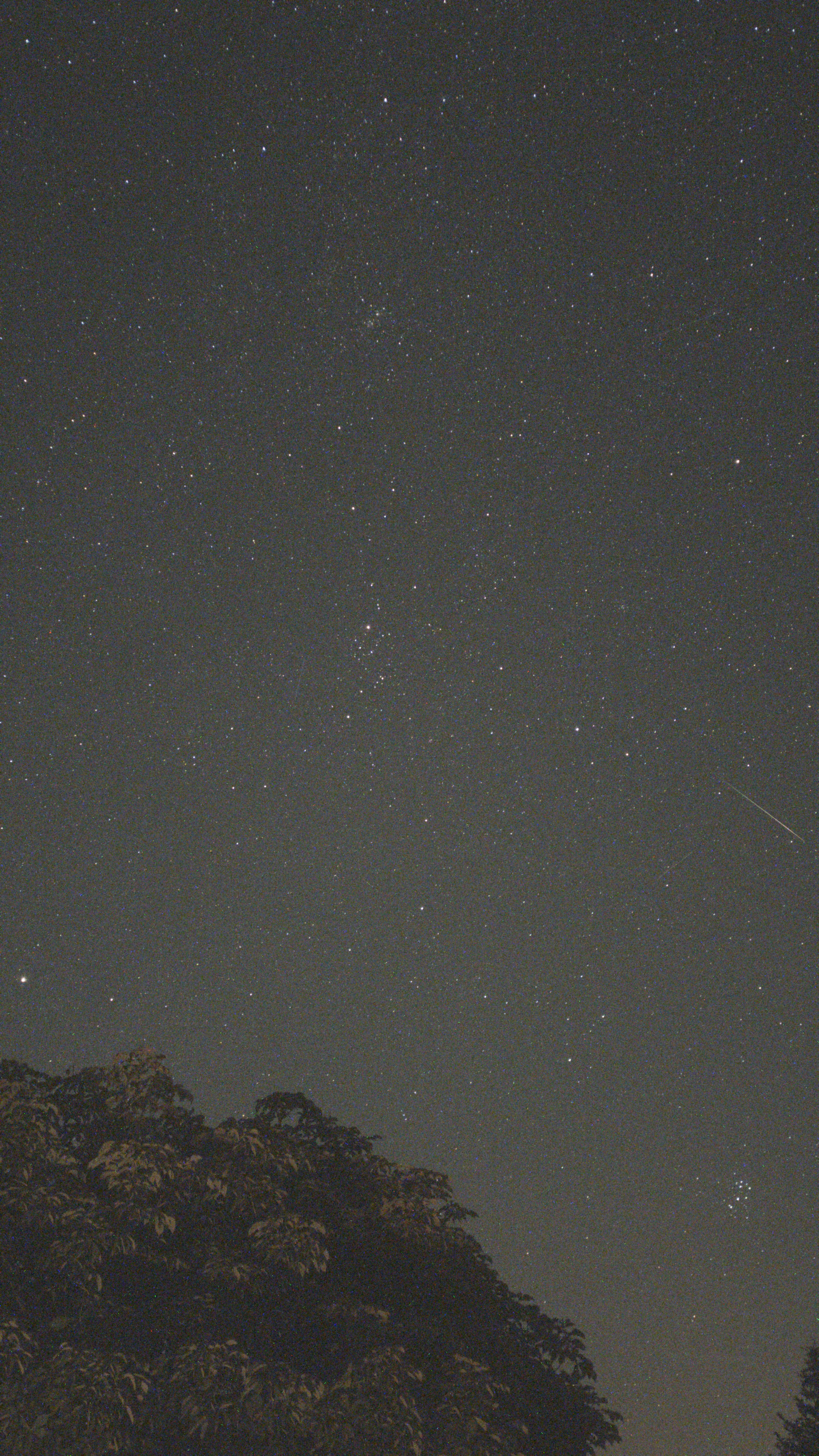 Perseid Meteor at 00:48
