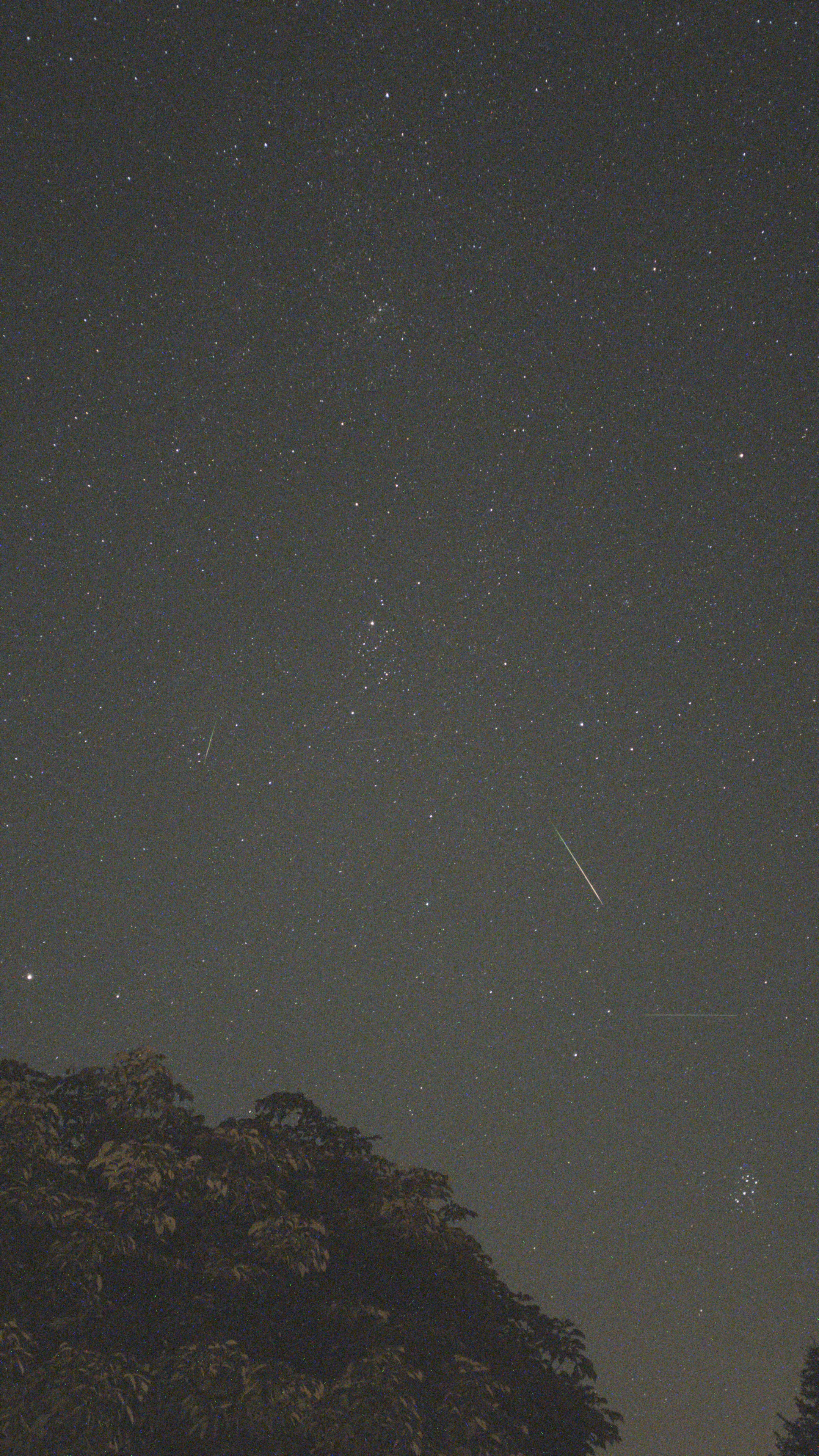 Perseid Meteor at 00:49