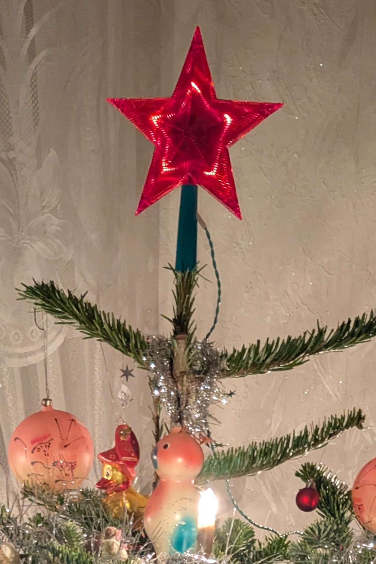 auf dem Baum