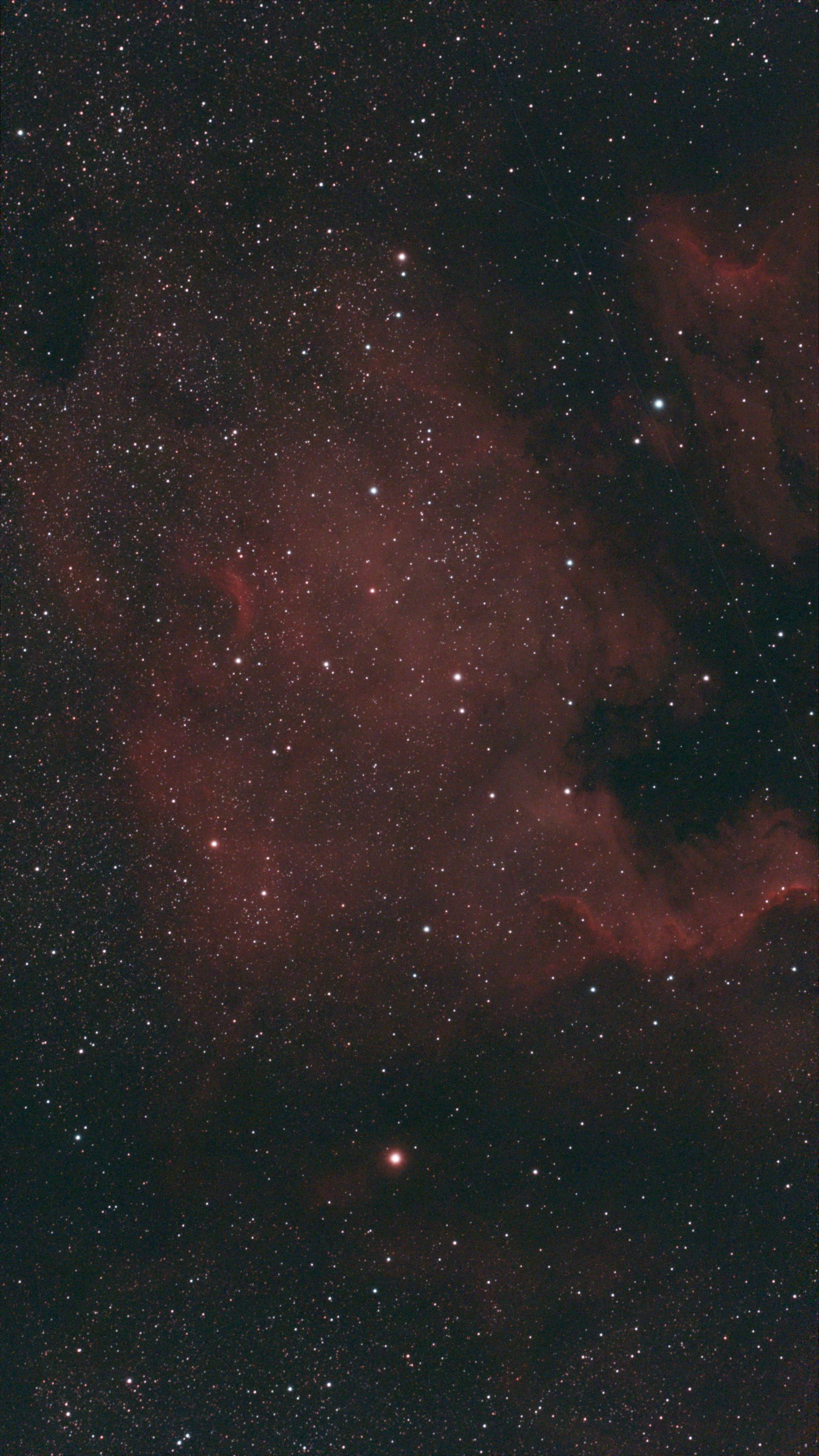 NGC 7000 (Seestar JPEG)