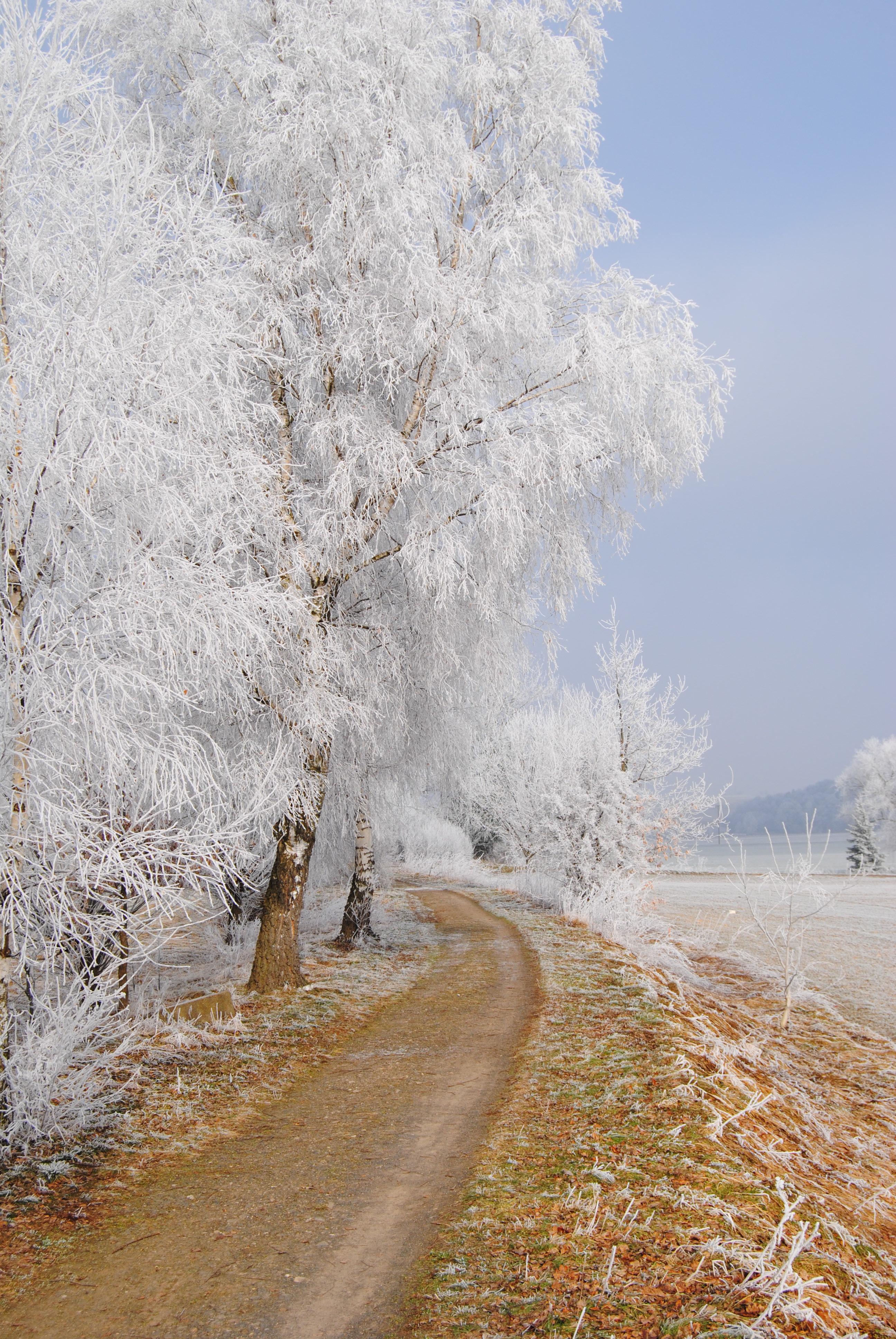 Der Lutherweg im Winter – passend zu den frostigen Rekordtemperaturen